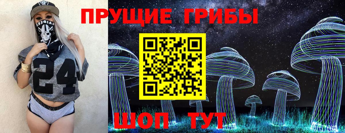 Тара  Псилоцибиновые грибы мухоморы  Галлюциногенные грибы мицелий  Вход с VPN 