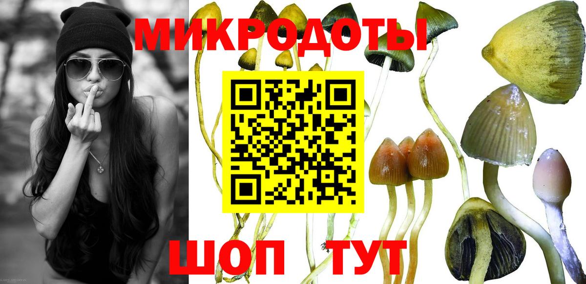 Галлюциногенные грибы ЛСД Тара